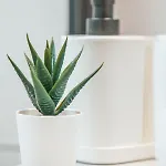 Daire Designer 2-Bedroom Apartment 150M From Mackenzie Beach