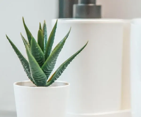 Апартаменты Designer 2-Bedroom Apartment 150M From Mackenzie Beach